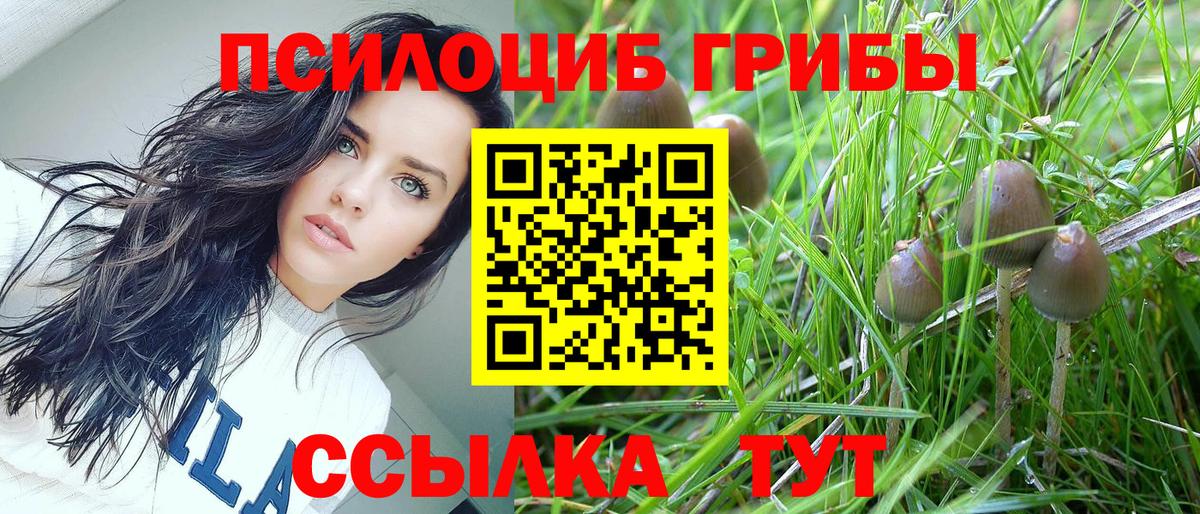 Галлюциногенные грибы прущие грибы  Вход с VPN  Якутск  Псилоцибиновые грибы мухоморы 